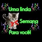 Bom dia com carinho