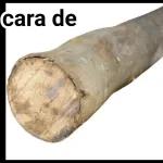 bomba