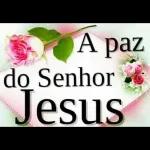 Quero apenas a presença de Deus comigo, em cada passo que eu der e em cada adversidade que eu enfrentar. Que Ele seja minhaFORÇA, meu ESCUDO minha PROTEÇÃO Todas as horas do dia. Cecilia Sfalsin Bom Dia!