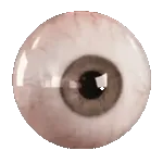 aranha