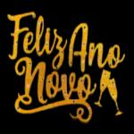 Ano novo- vale um brinde!