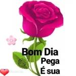 BOA
NOITE