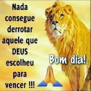 Nada consegue derrotar aquele que DEUS escolheu para vencer !!! Bom dia! - getsticker.com