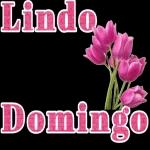 Feliz domingo