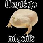 🐸Sapo Feliz Dia 🐸