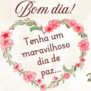Bom dia! Tenha um maravilhoso dia de paz... - getsticker.com