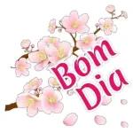 BOM DIA
