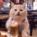 صباح الخير يا حلوين