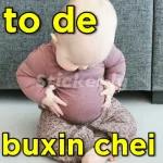 MEU SONHO