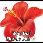 PSIU,