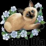 Giberto