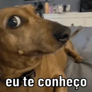 eu te conheço - getsticker.com