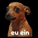 carolll