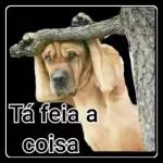 MULHER!!