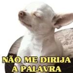 CADÊ VC? JAH