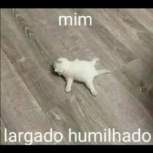 mim largado humilhado - getsticker.com