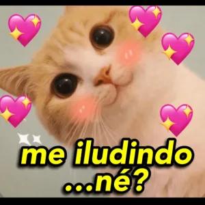 qlq7ckm