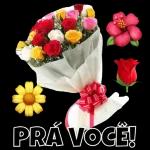 Moura 
