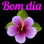  É cada uma que
aparece