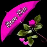 paz do senhor 