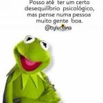 Sapo cururu