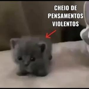 MNd5z0