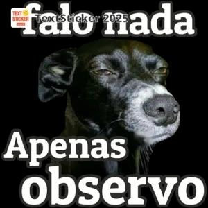falo nada Apenas observo - getsticker.com