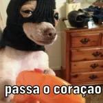 só animais 😂