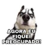 Já posso te incomodar!!