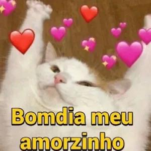 FTSsmq