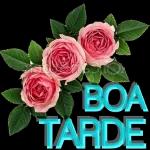 BOA TARDE 