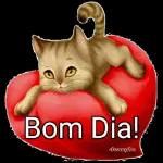 gatinho fofo
