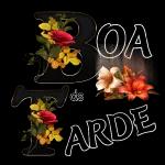 bom dia 