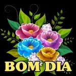 figurinha diversas