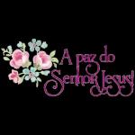 A paz do Senhor Jesus!!!