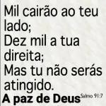 versículos 