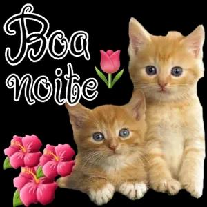 Boa noite - getsticker.com