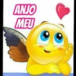 SEU ANJO CHEGOU 