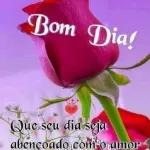 FELIZ TERÇA FEIRA
