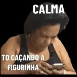 bir
