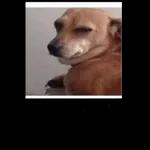 adicionar 