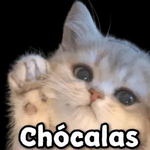 lojyk1r