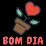 BOM DIA