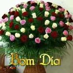 Com Carinho
Pra Vc