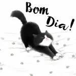 Andreia