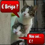 figurinhas engraçadas