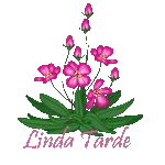variedades 