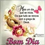 bom dia