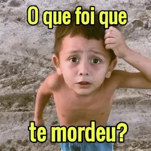 O que foi que te mordeu? - getsticker.com
