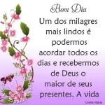  Deus no
controle